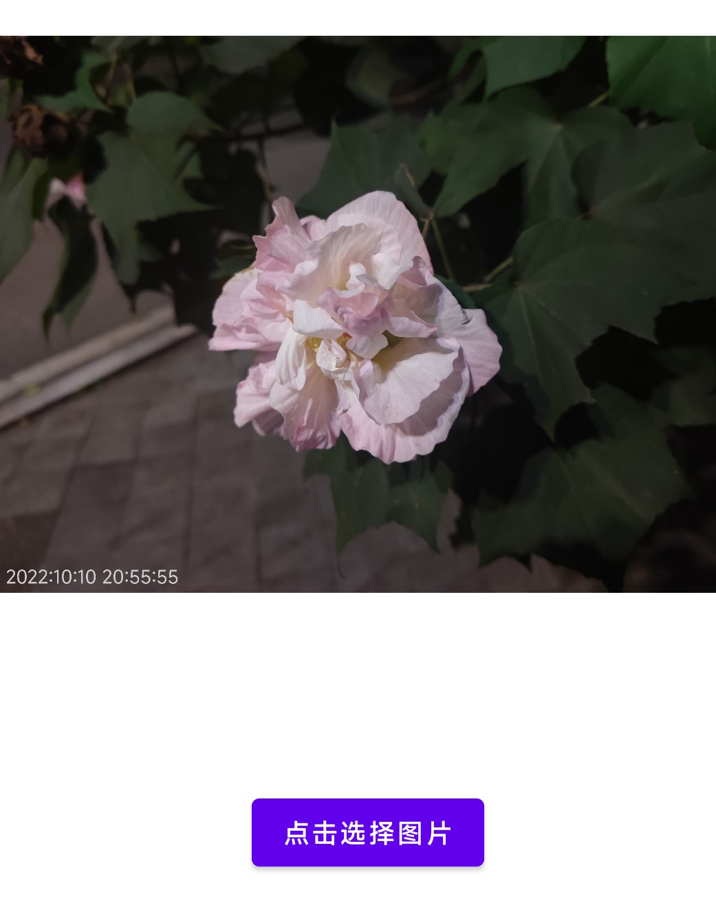 s6